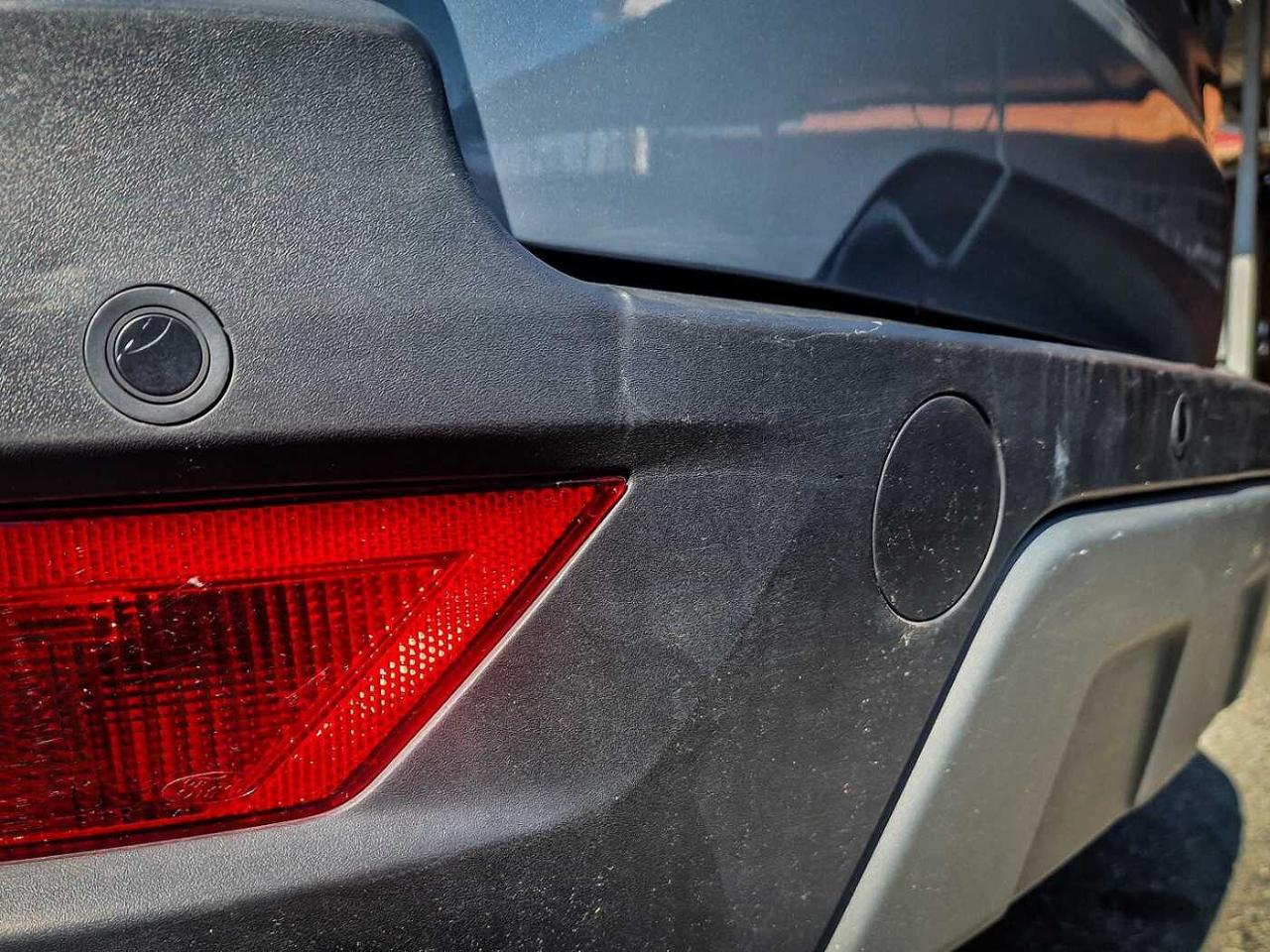 Ford Ford Ecosport usata 13