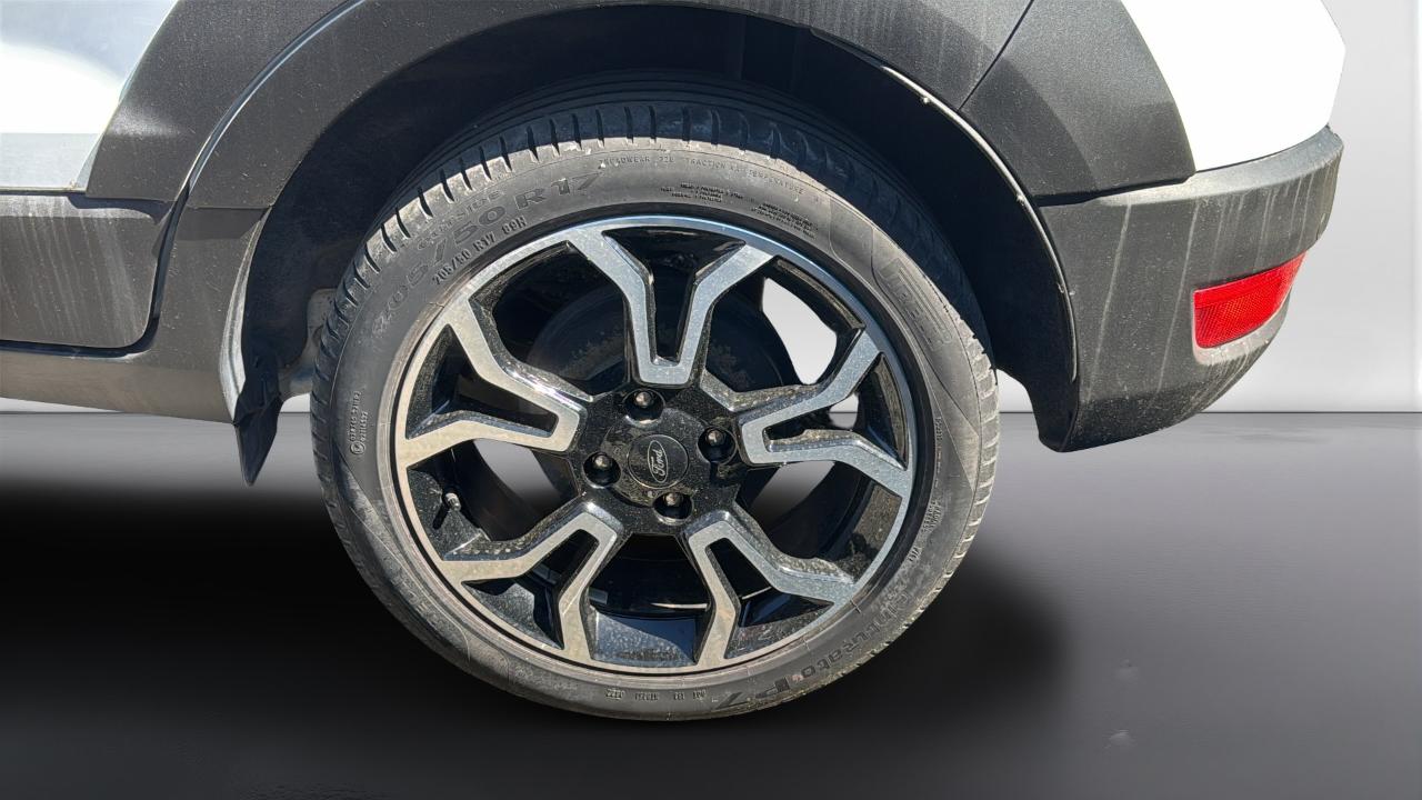 Ford Ford Ecosport usata 15
