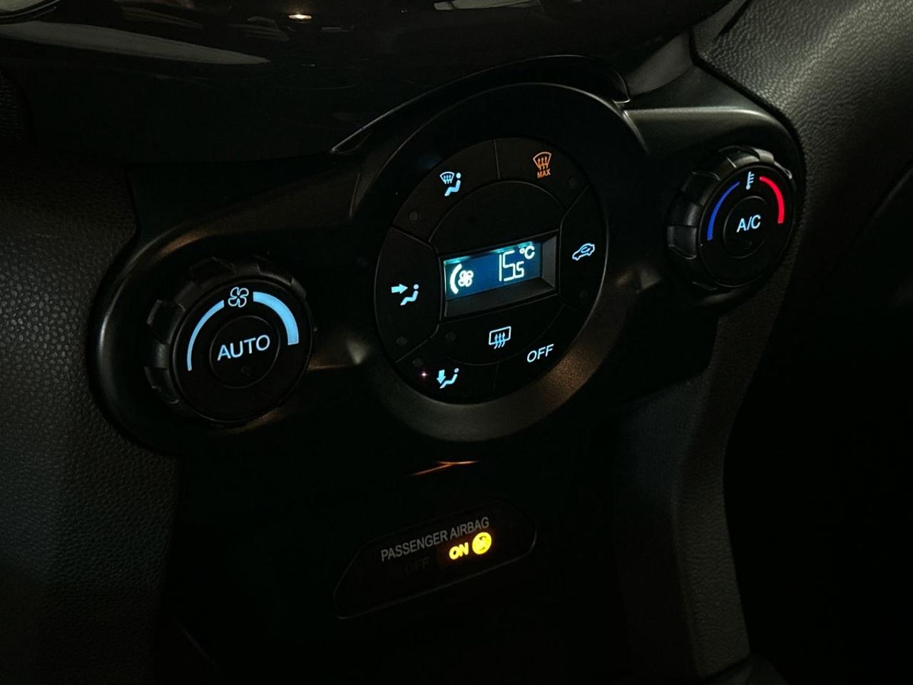 Ford Ford Ecosport usata 14