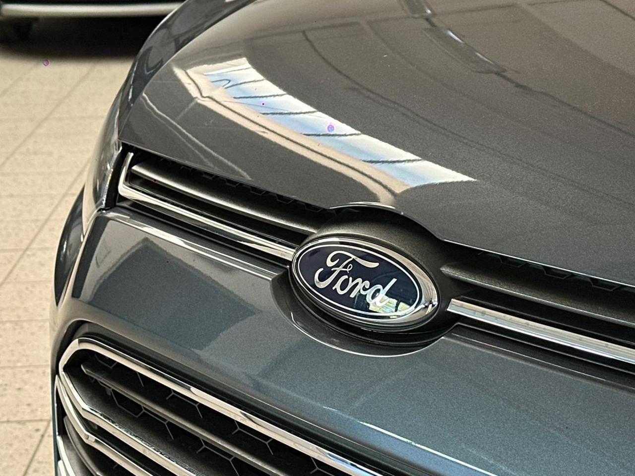 Ford Ford Ecosport usata 18