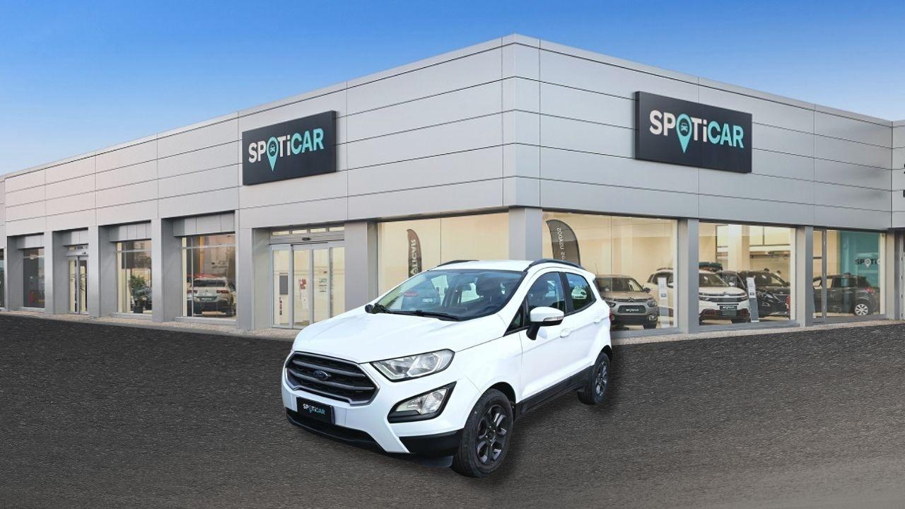 ford ecosport ecosport 1.0 ecoboost 100 cv business usata