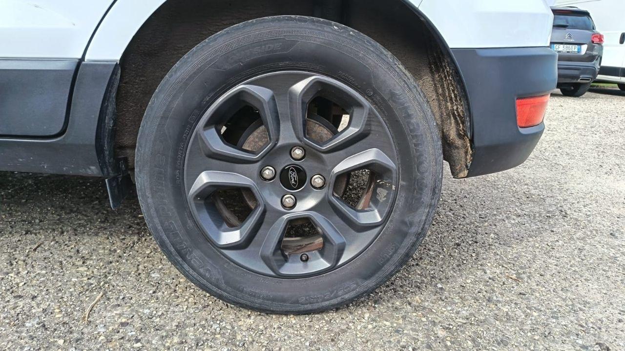 Ford Ford Ecosport usata 6