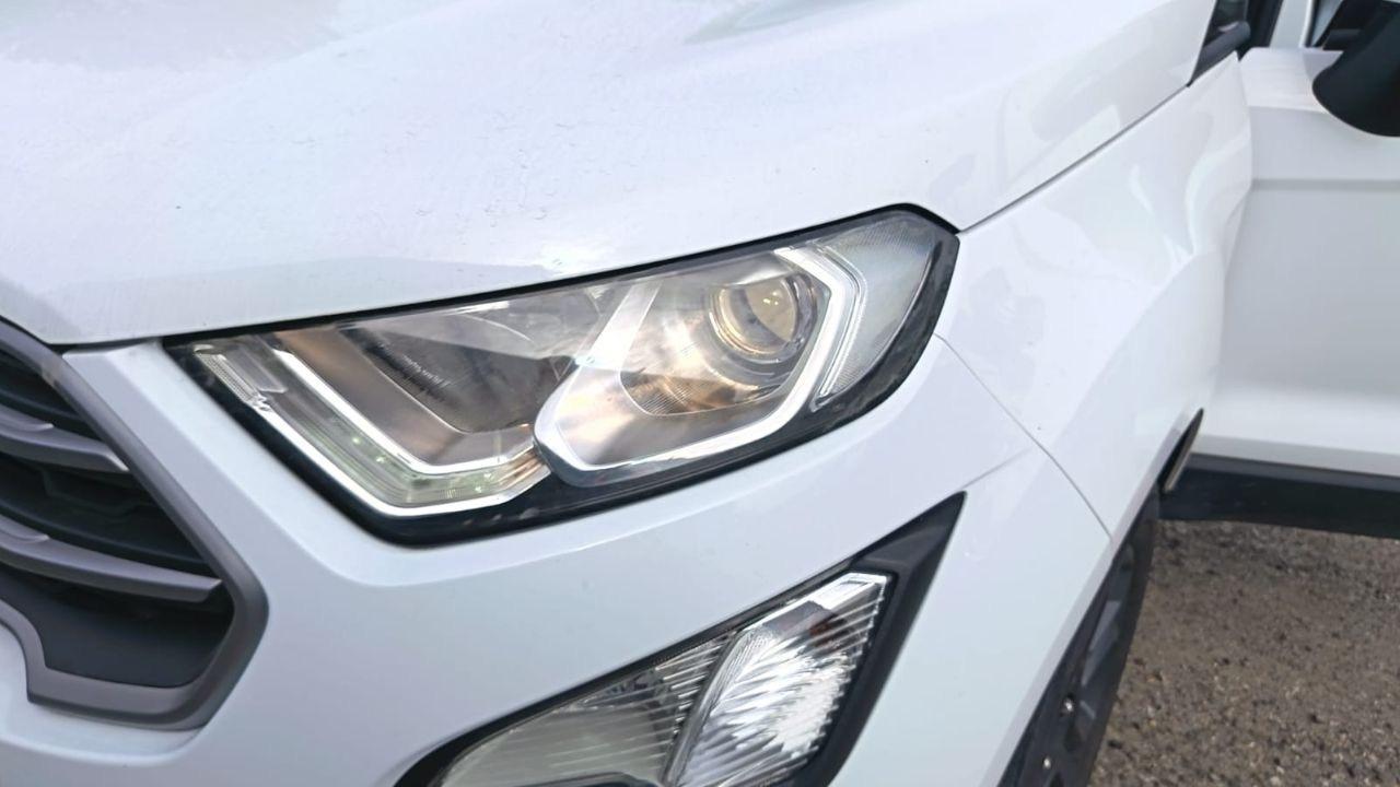 Ford Ford Ecosport usata 7