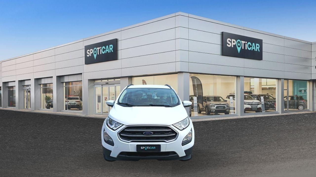 Ford Ford Ecosport usata 11