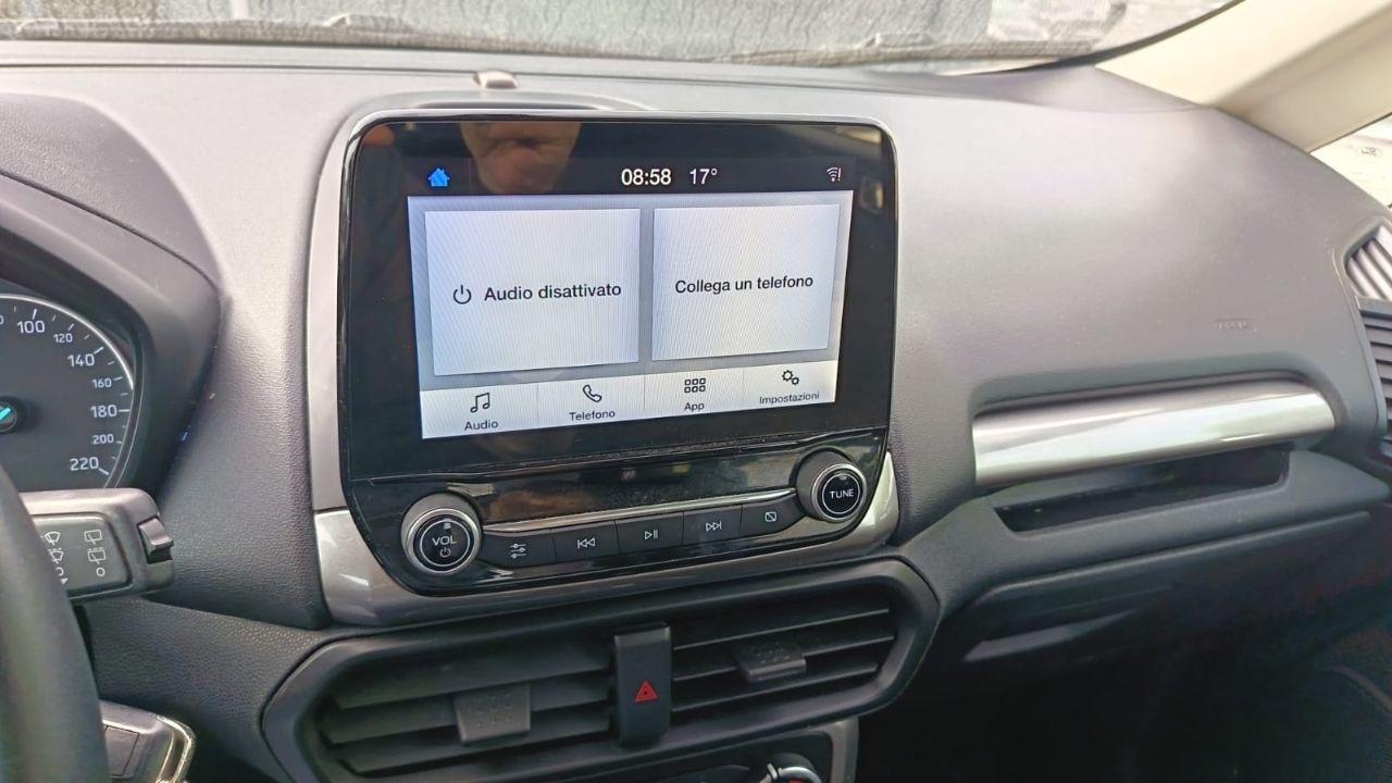 Ford Ford Ecosport usata 12