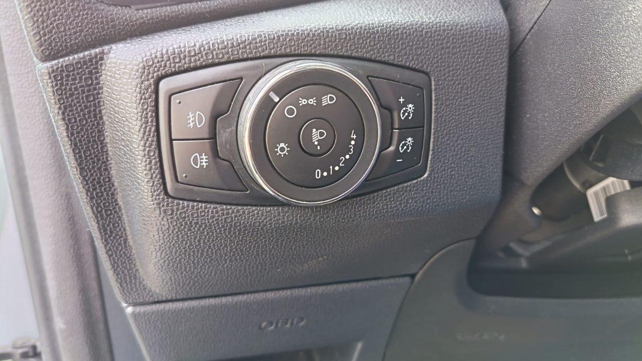 Ford Ford Ecosport usata 13