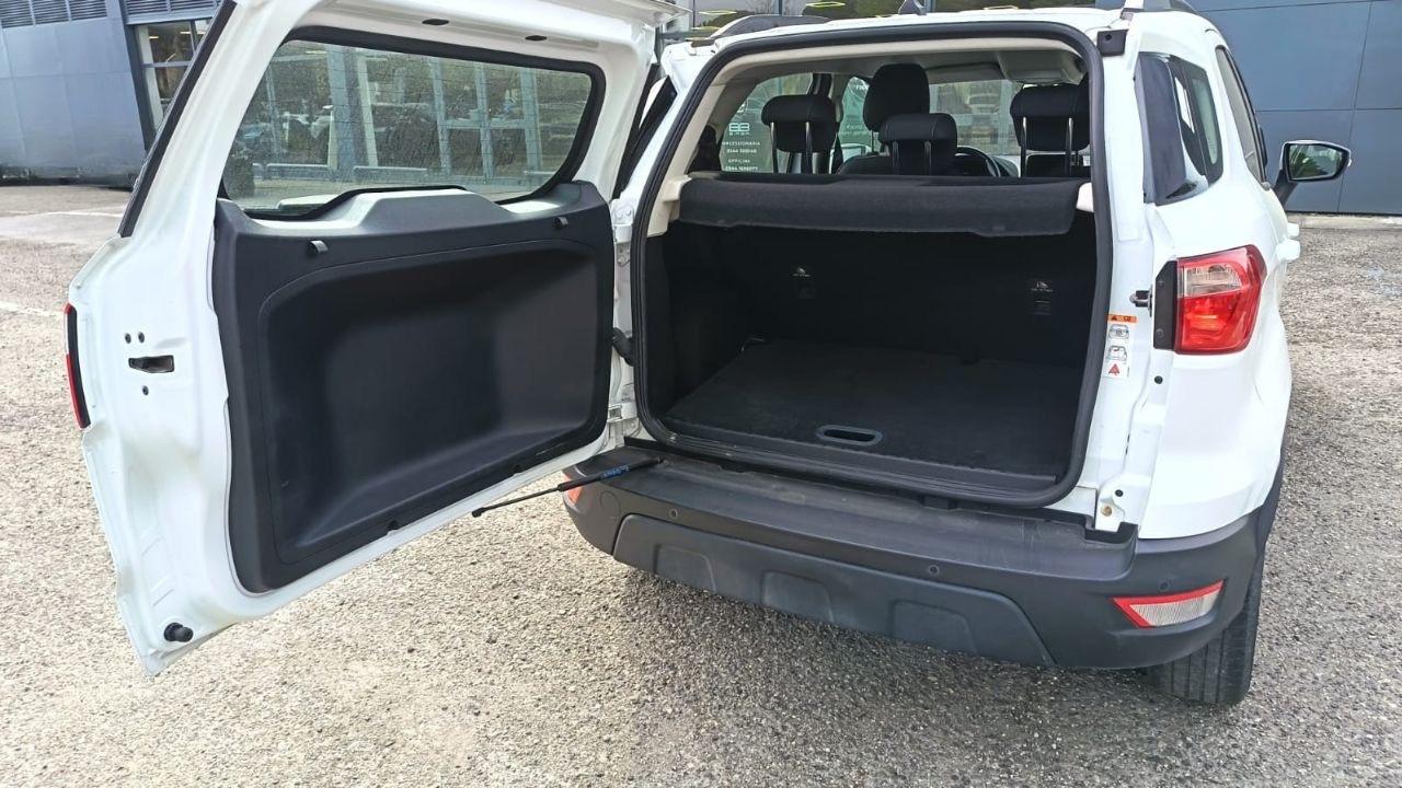 Ford Ford Ecosport usata 15