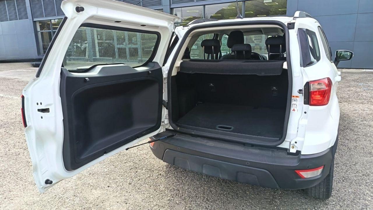 Ford Ford Ecosport usata 16