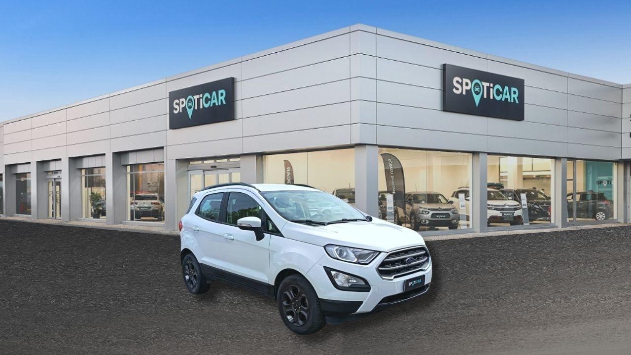 Ford Ford Ecosport usata 17