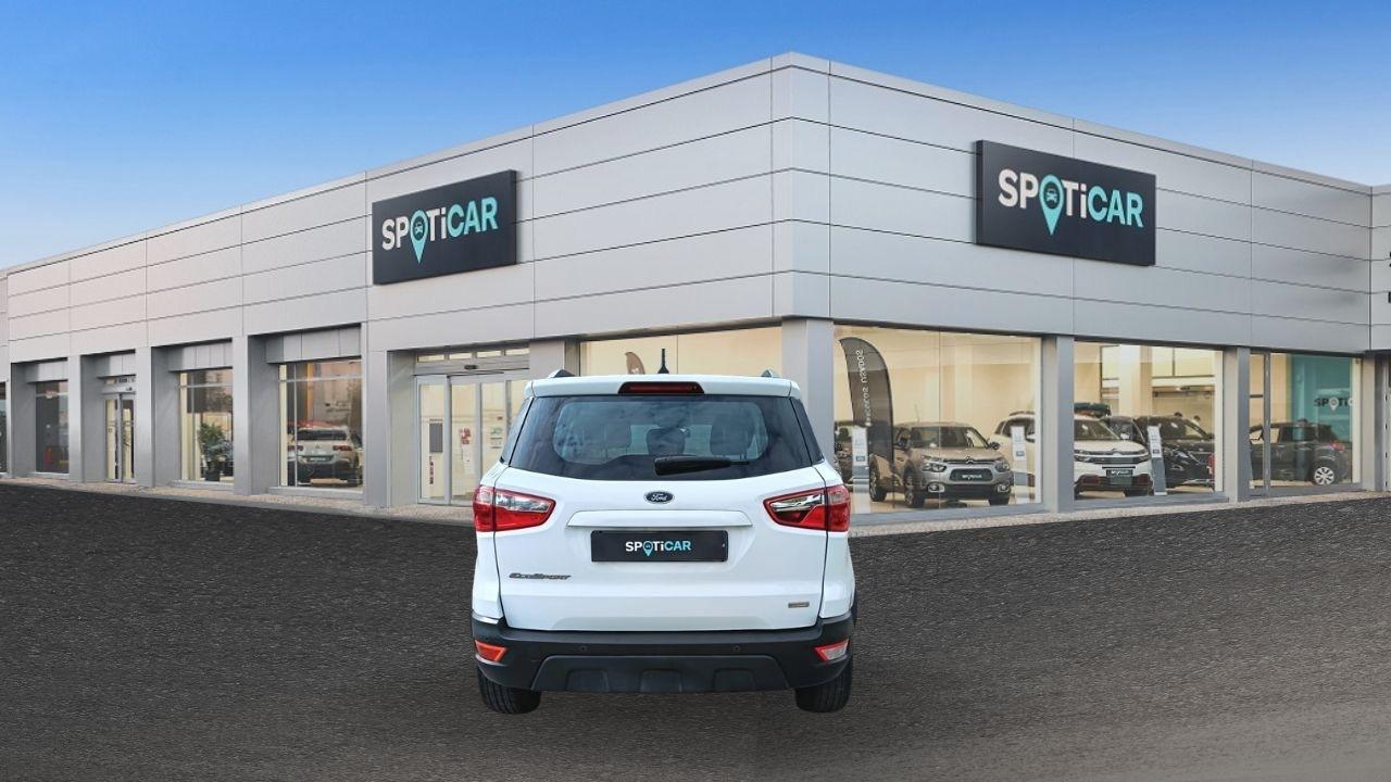 Ford Ford Ecosport usata 19