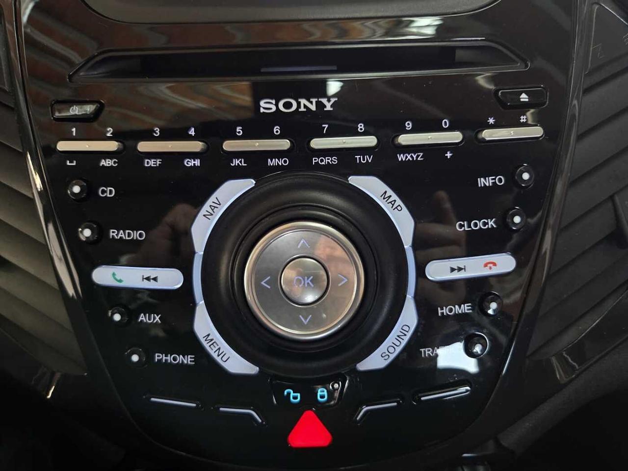Ford Ford Ecosport usata 16
