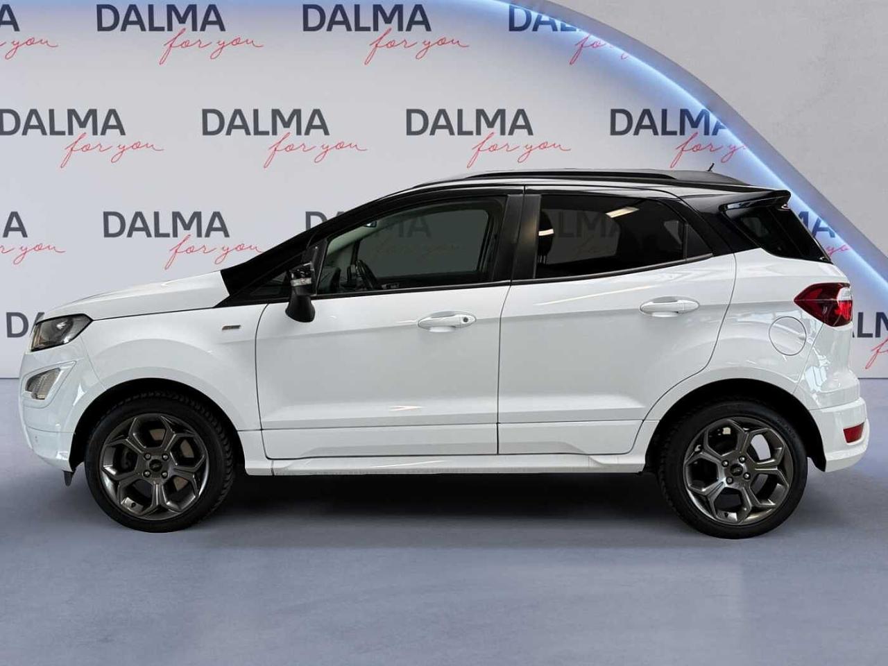 Ford Ford Ecosport usata 11