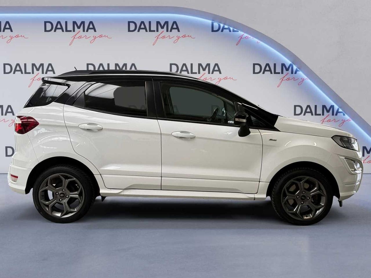 Ford Ford Ecosport usata 17