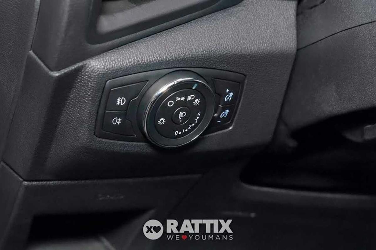 Ford Ford Ecosport usata 14