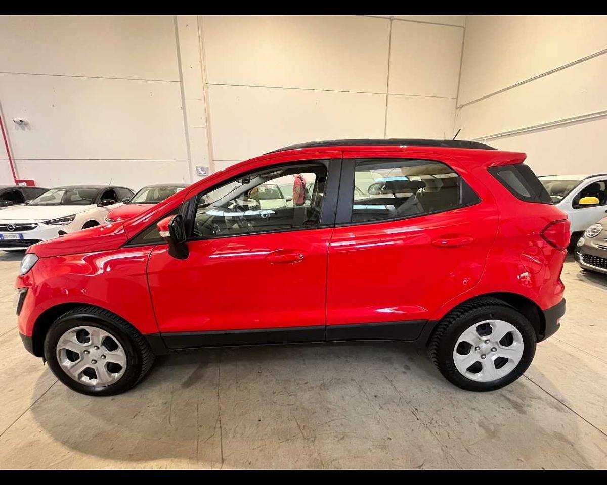 Ford Ford Ecosport usata 13