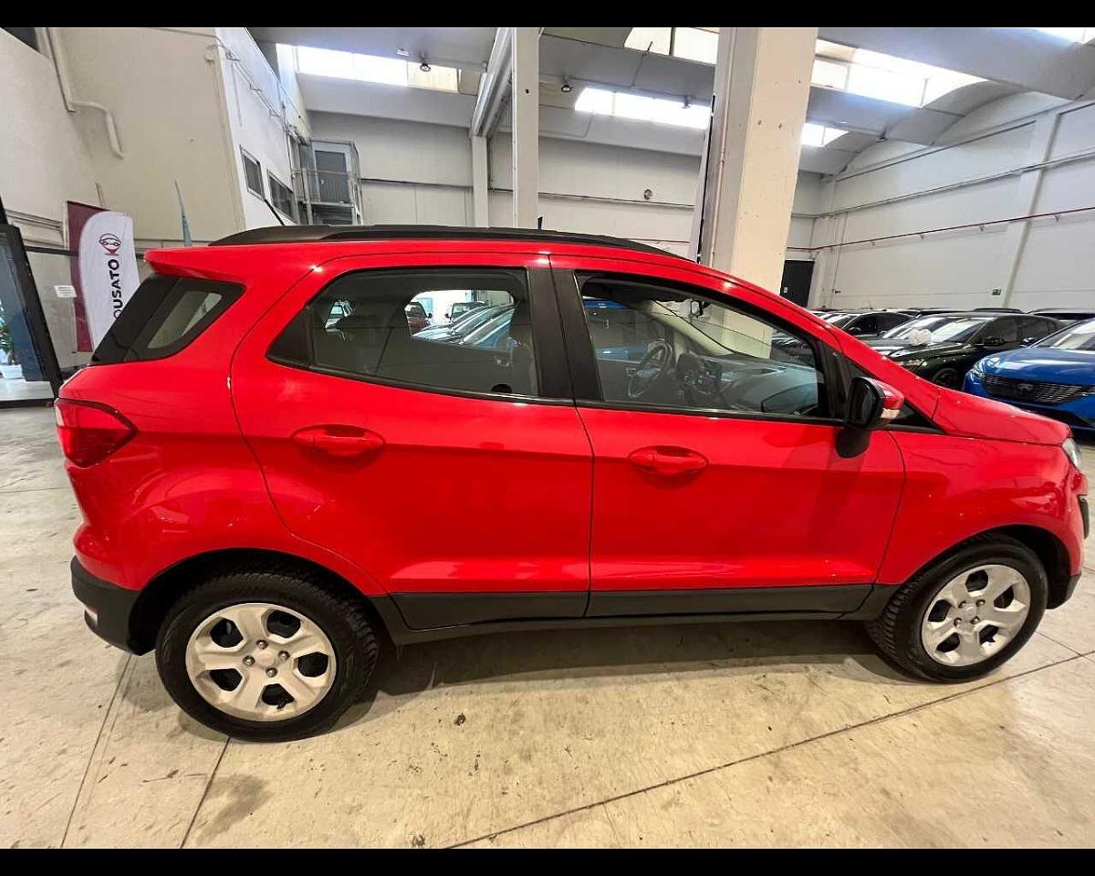 Ford Ford Ecosport usata 14