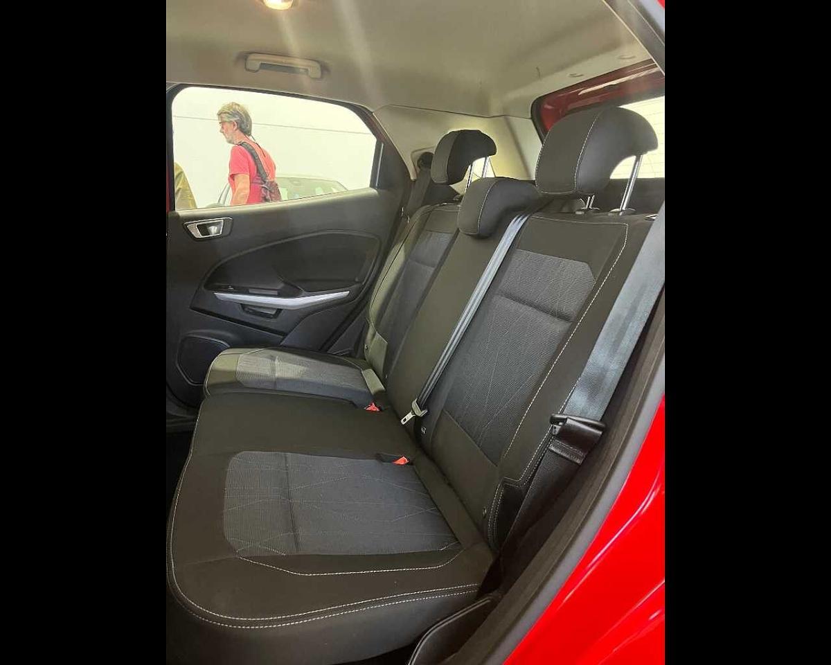 Ford Ford Ecosport usata 15