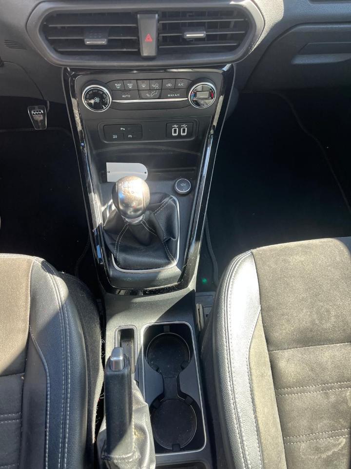 Ford Ford Ecosport usata 10
