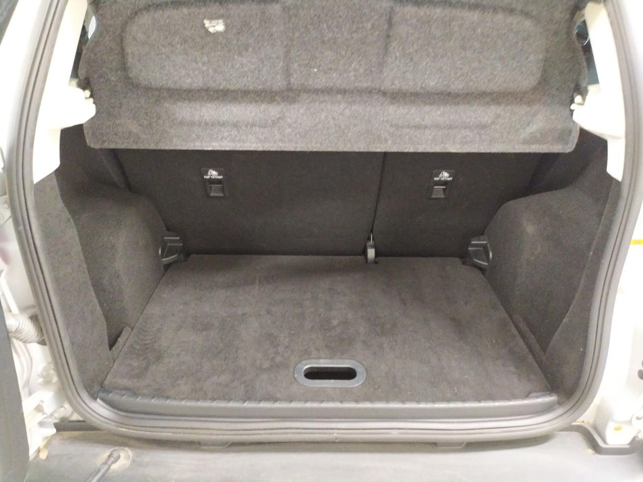 Ford Ford Ecosport usata 10