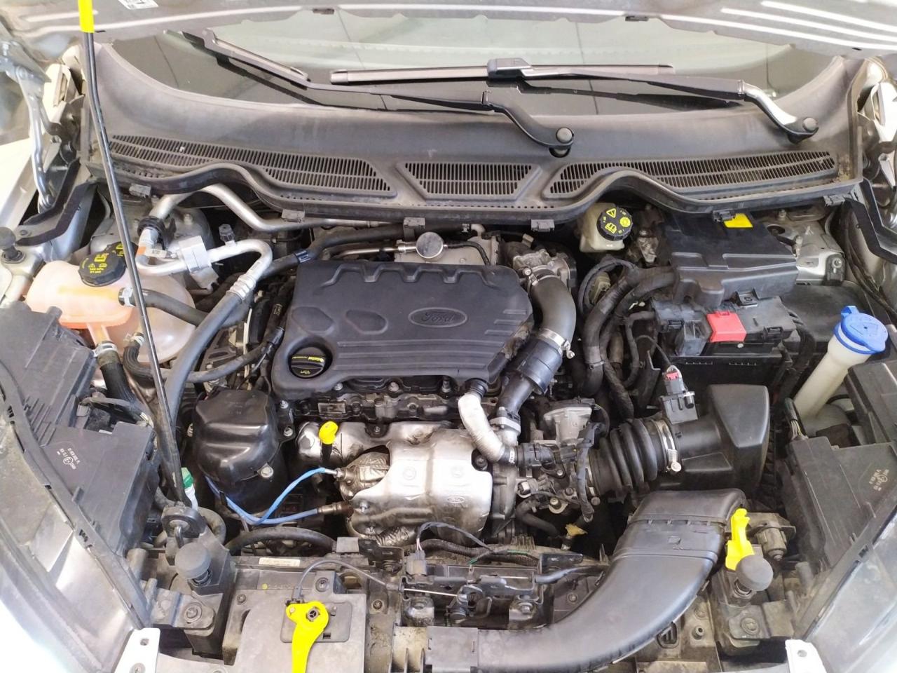 Ford Ford Ecosport usata 12