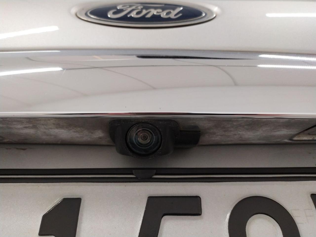 Ford Ford Ecosport usata 14