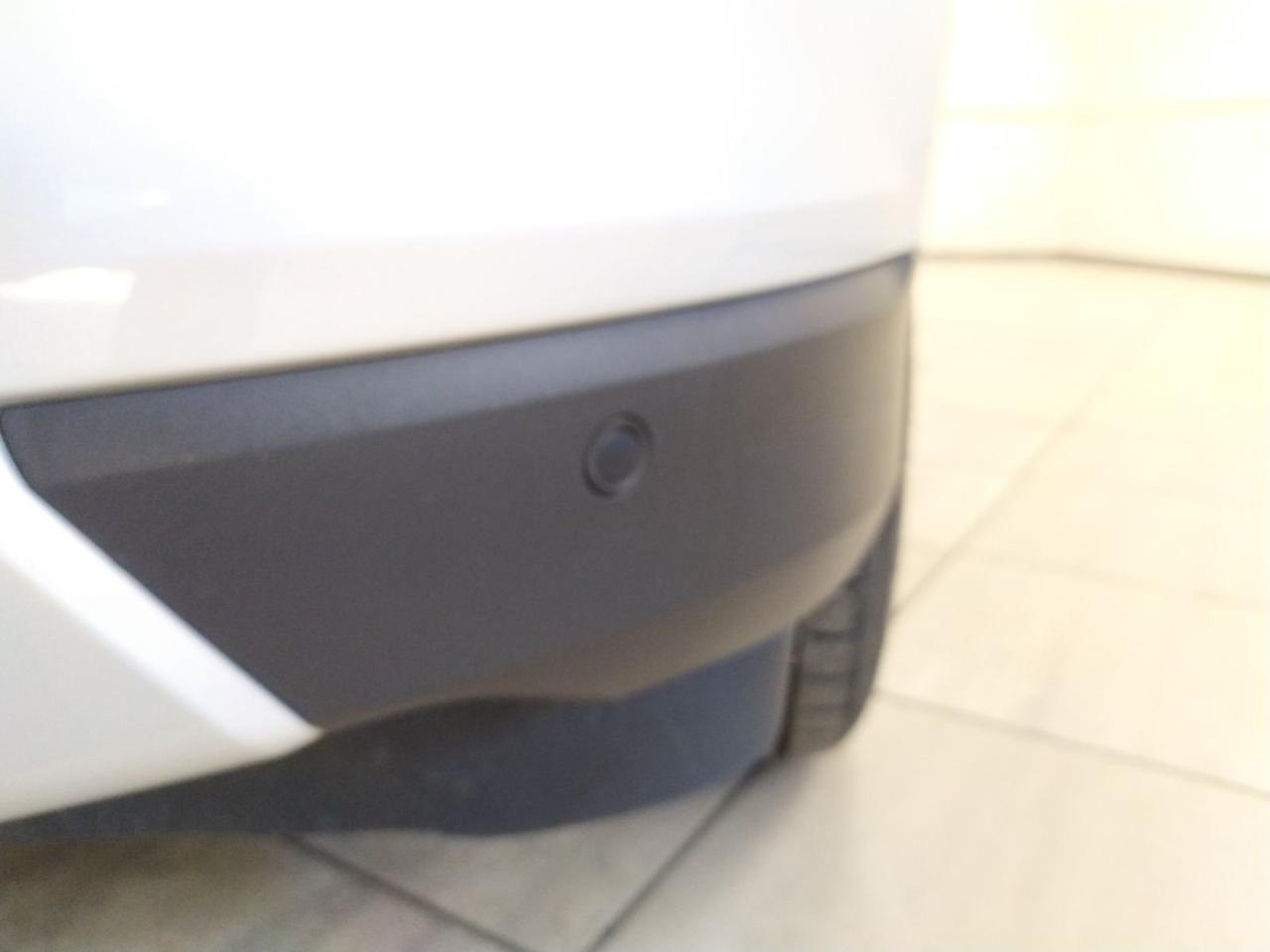 Ford Ford Ecosport usata 16