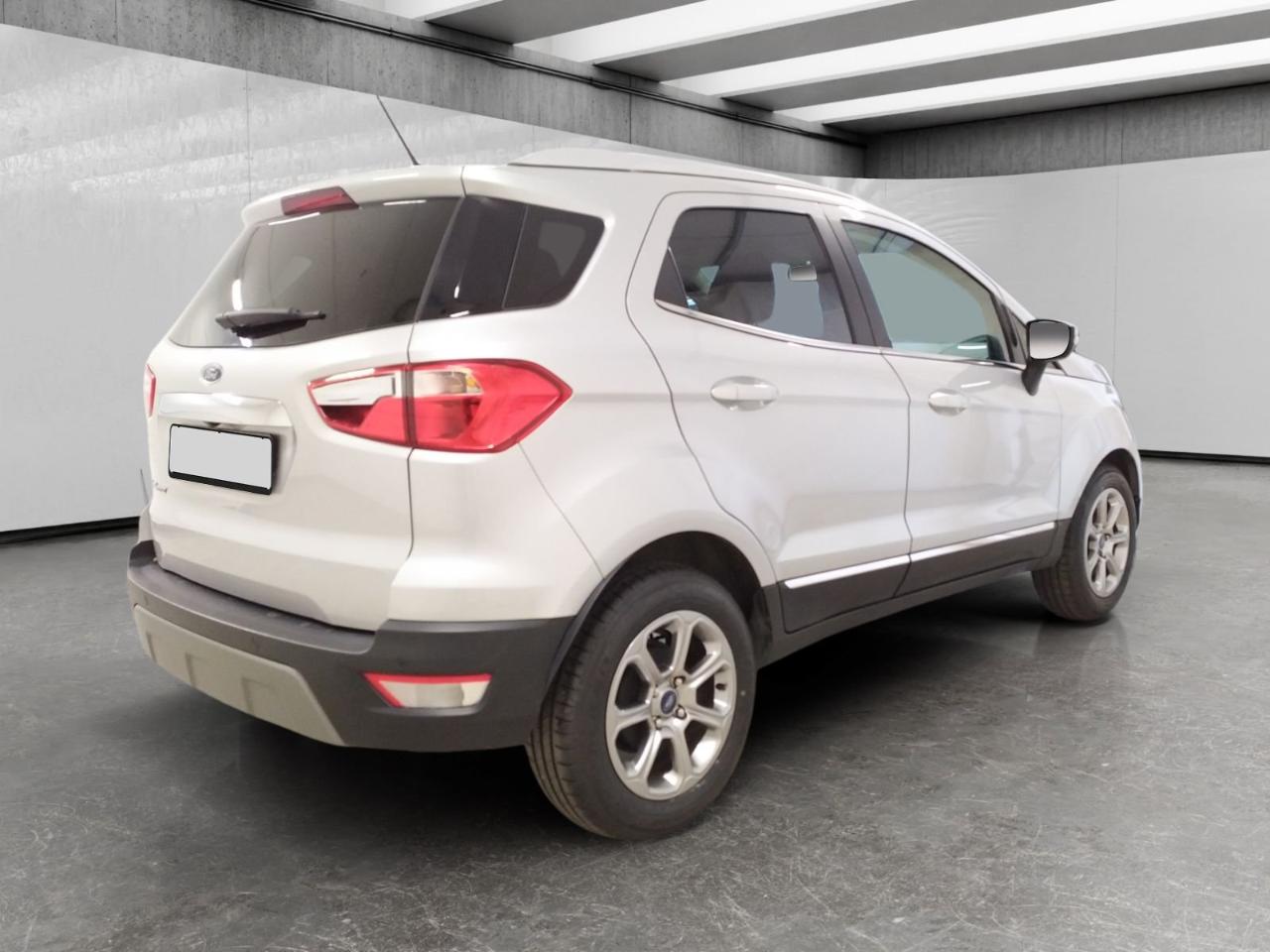 Ford Ford Ecosport usata 19
