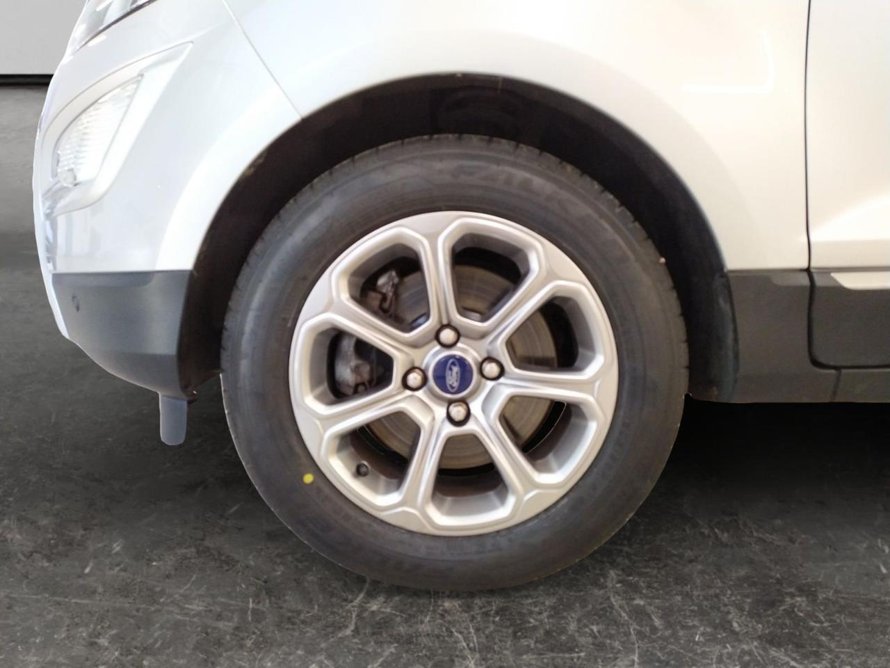 Ford Ford Ecosport usata 23