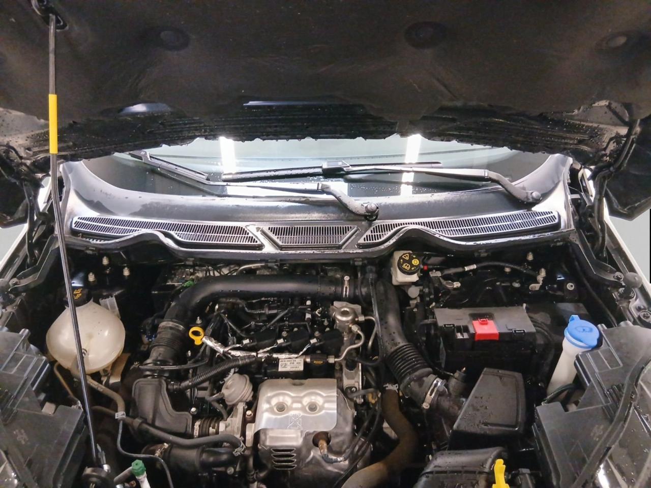 Ford Ford Ecosport usata 9