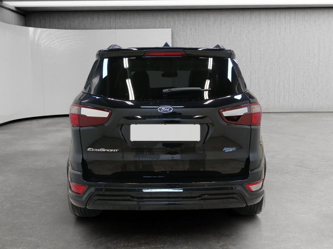 Ford Ford Ecosport usata 13