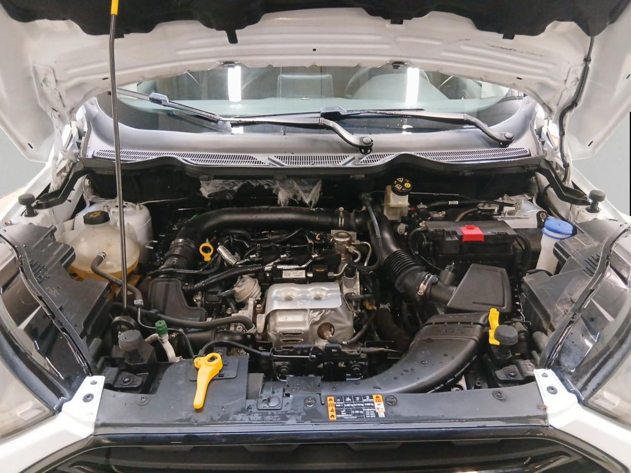 Ford Ford Ecosport usata 9