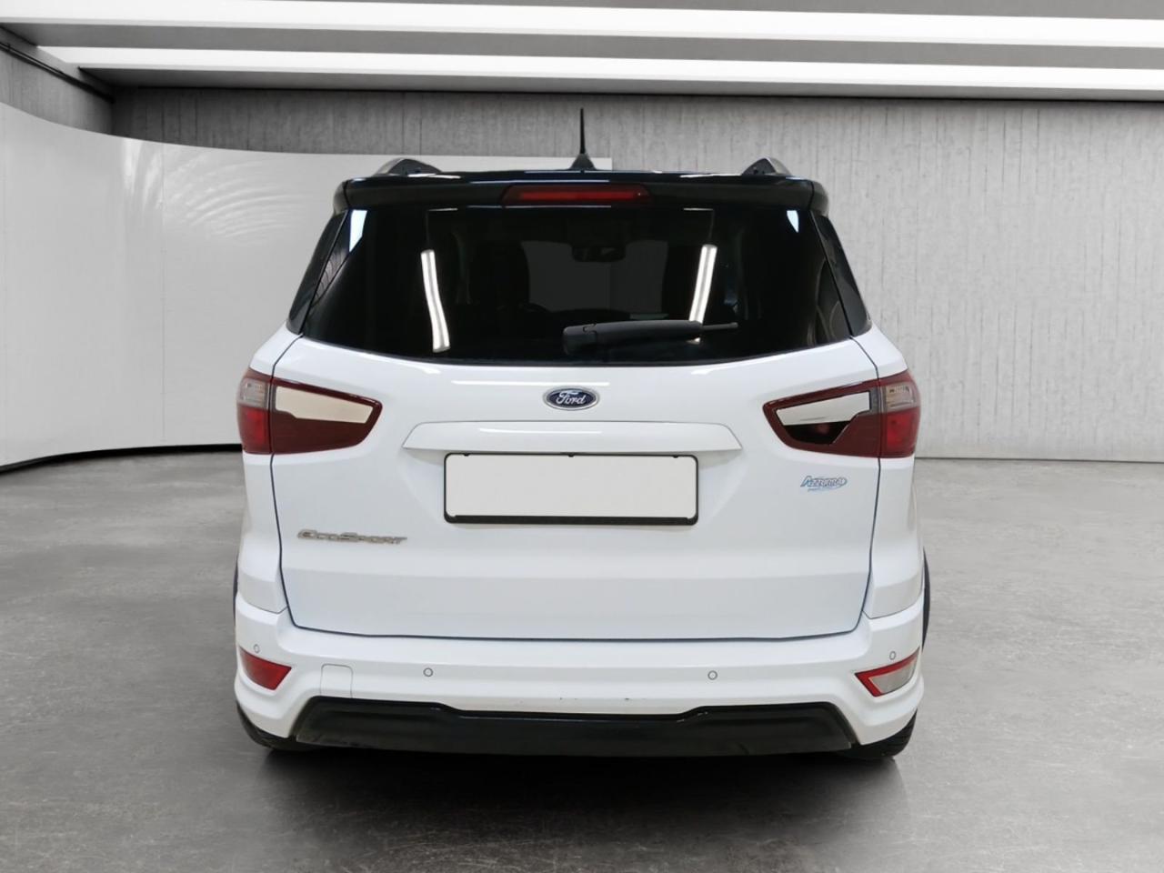 Ford Ford Ecosport usata 13