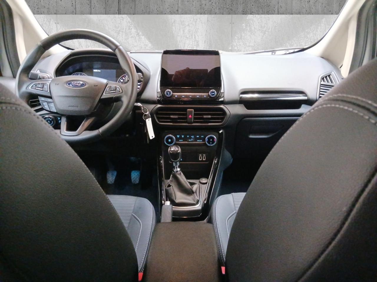 Ford Ford Ecosport usata, con Portapacchi