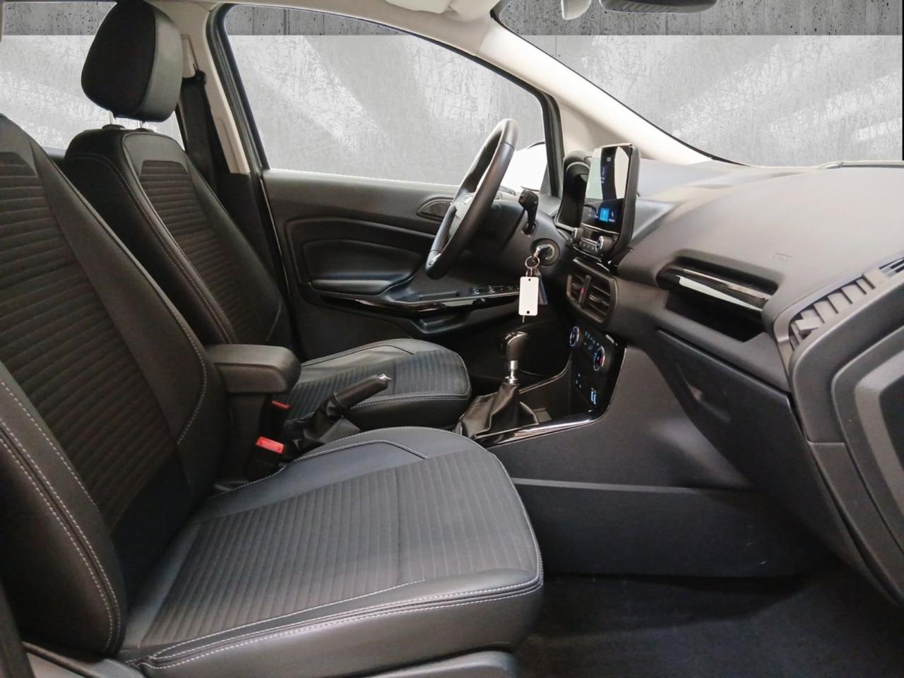 Ford Ford Ecosport usata 6