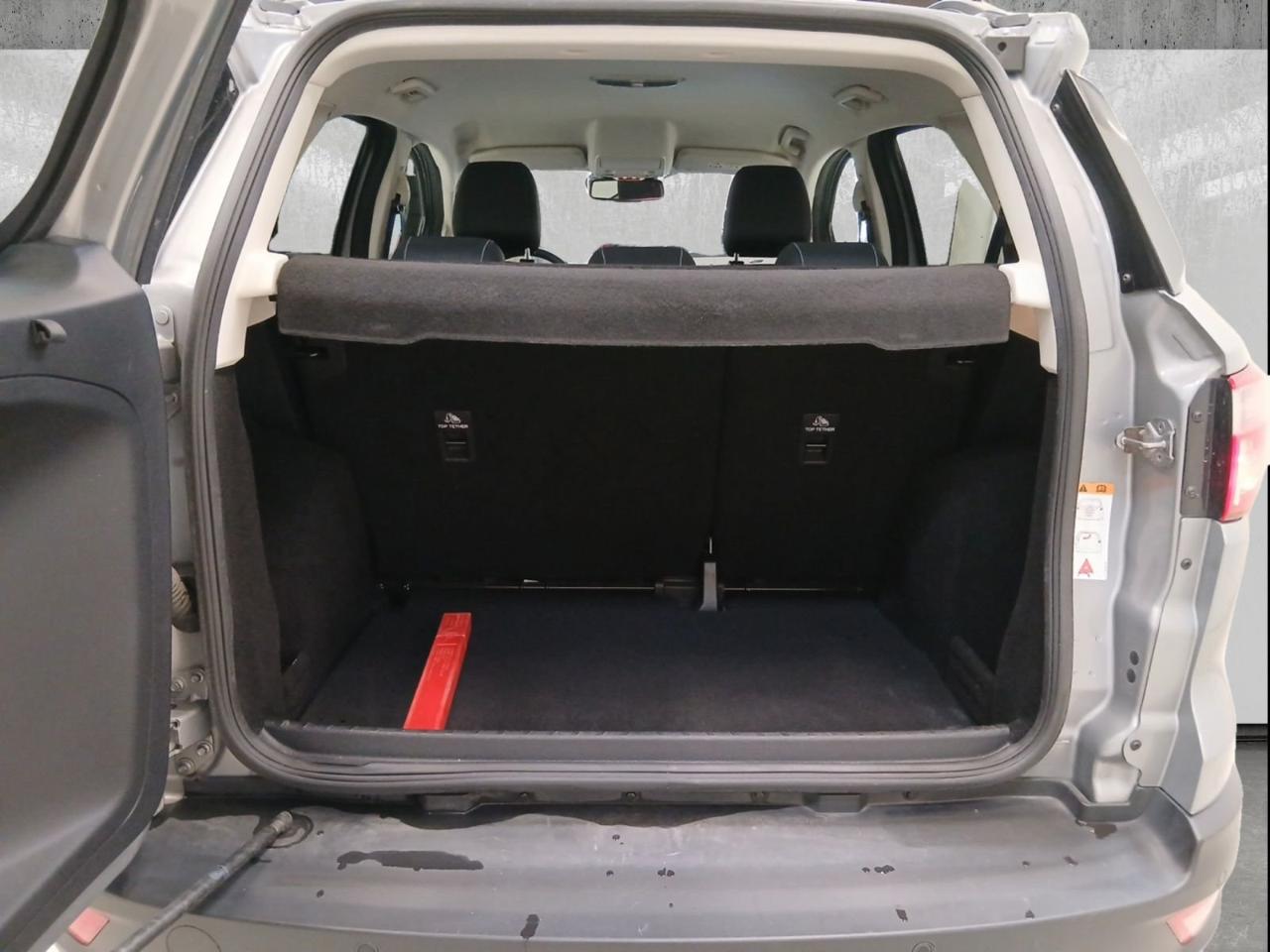 Ford Ford Ecosport usata 8