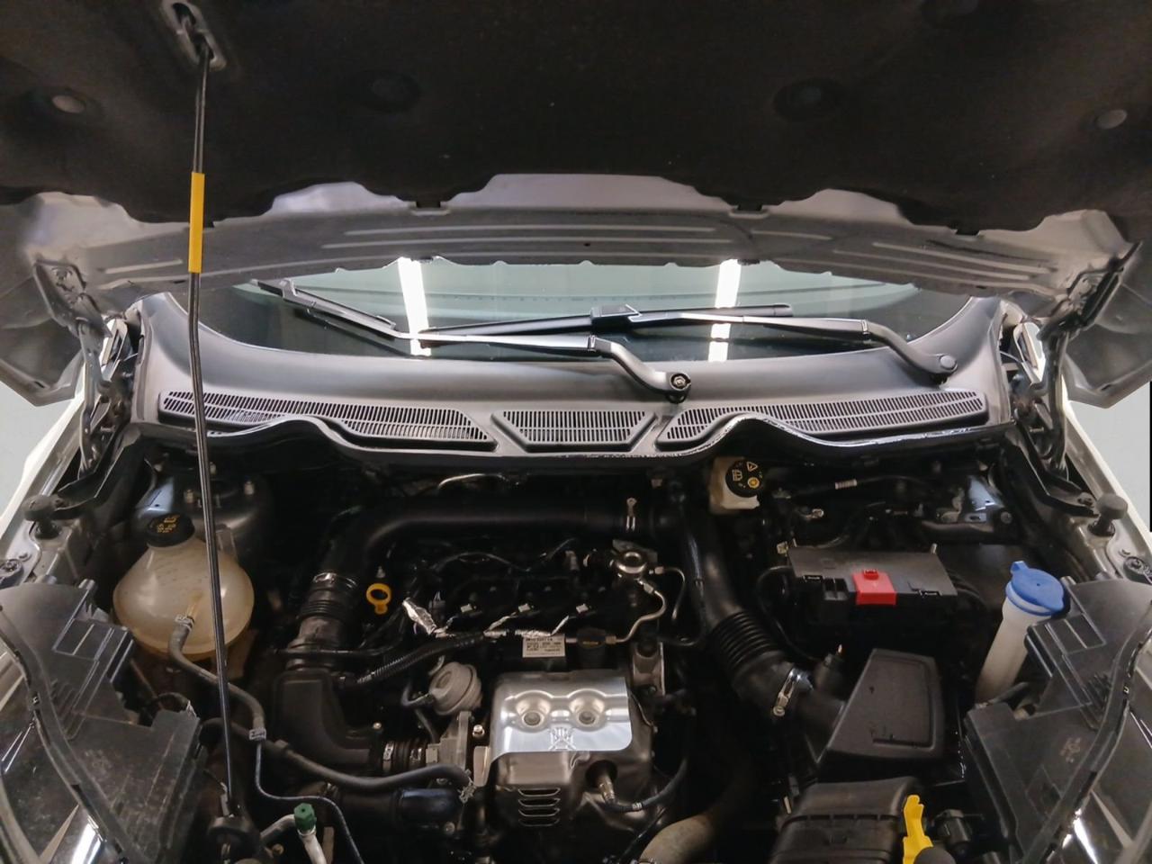 Ford Ford Ecosport usata 9