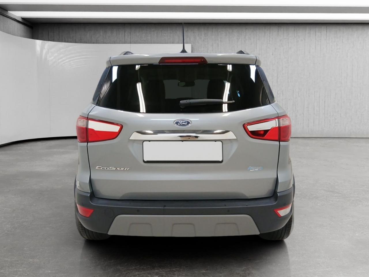 Ford Ford Ecosport usata 13