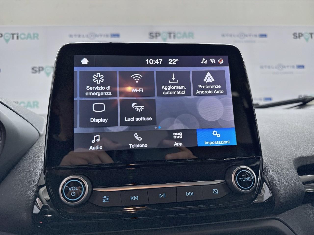 Ford Ford Ecosport usata 10