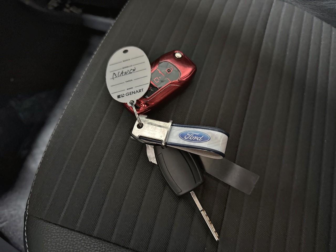 Ford Ford Ecosport usata 12
