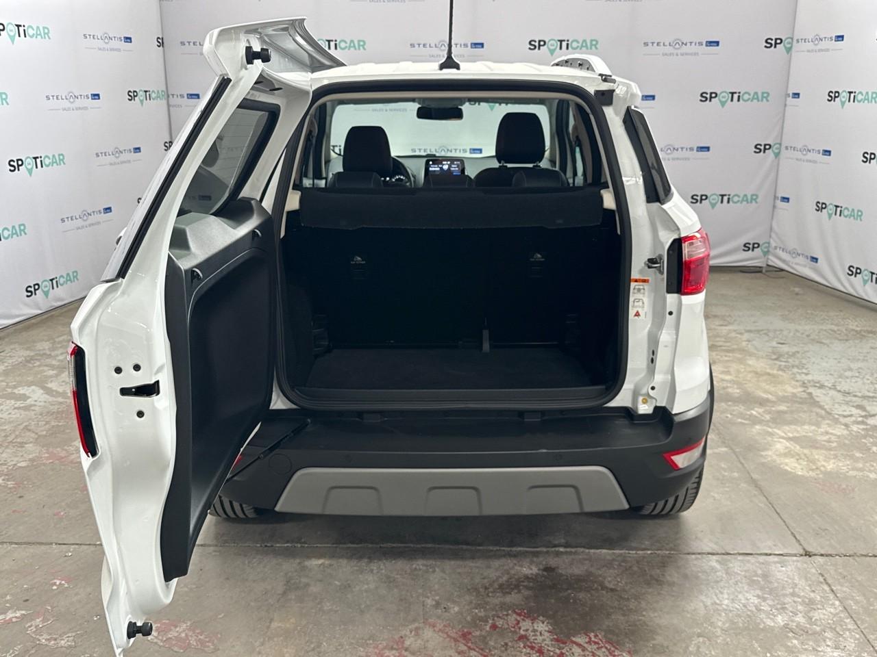 Ford Ford Ecosport usata 18
