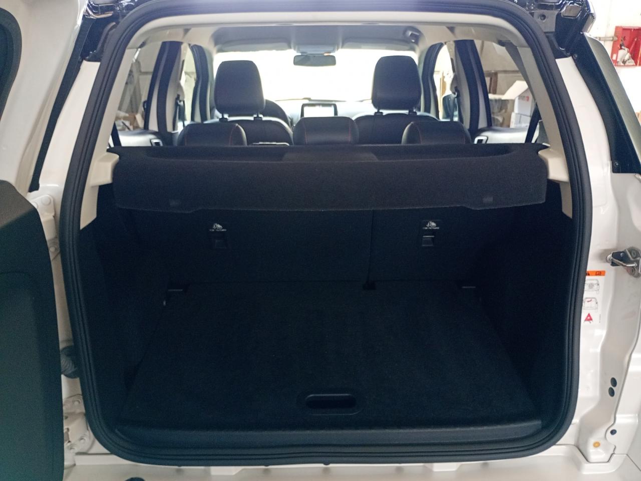 Ford Ford Ecosport usata 10
