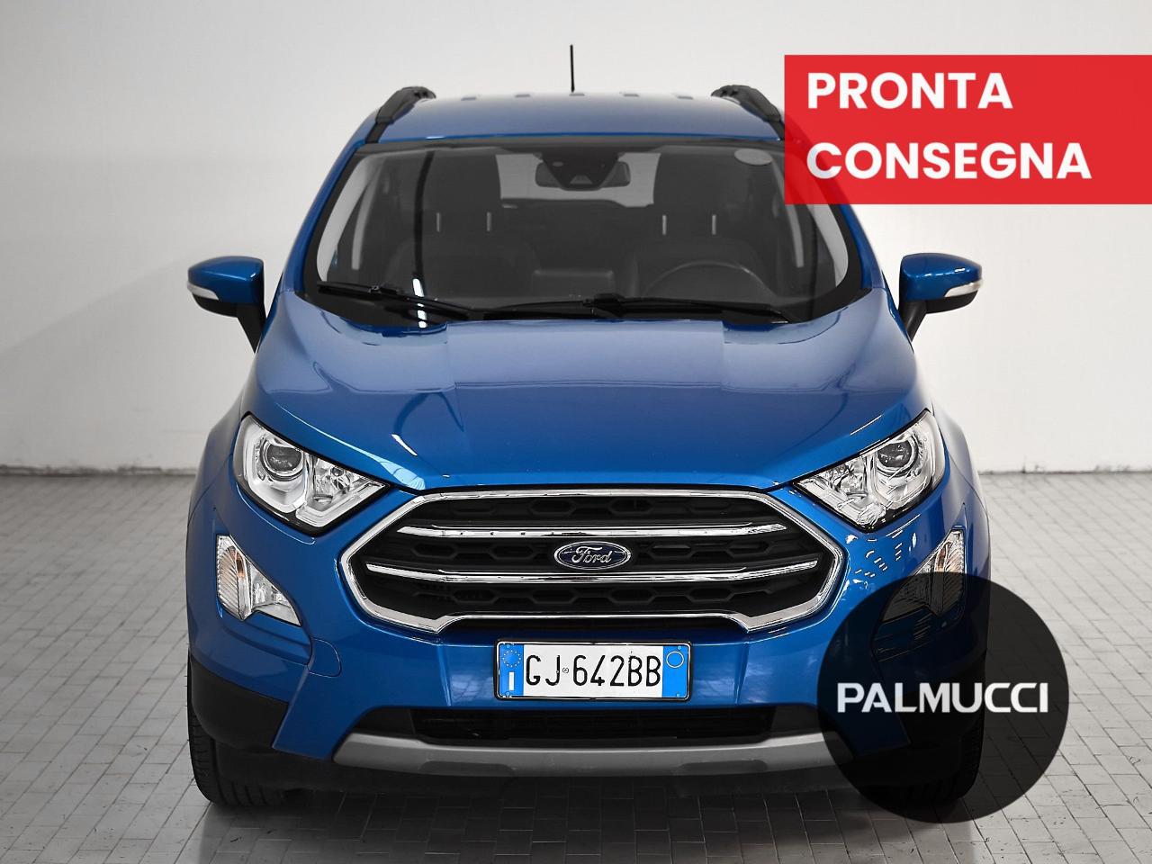 Ford Ford Ecosport usata 11