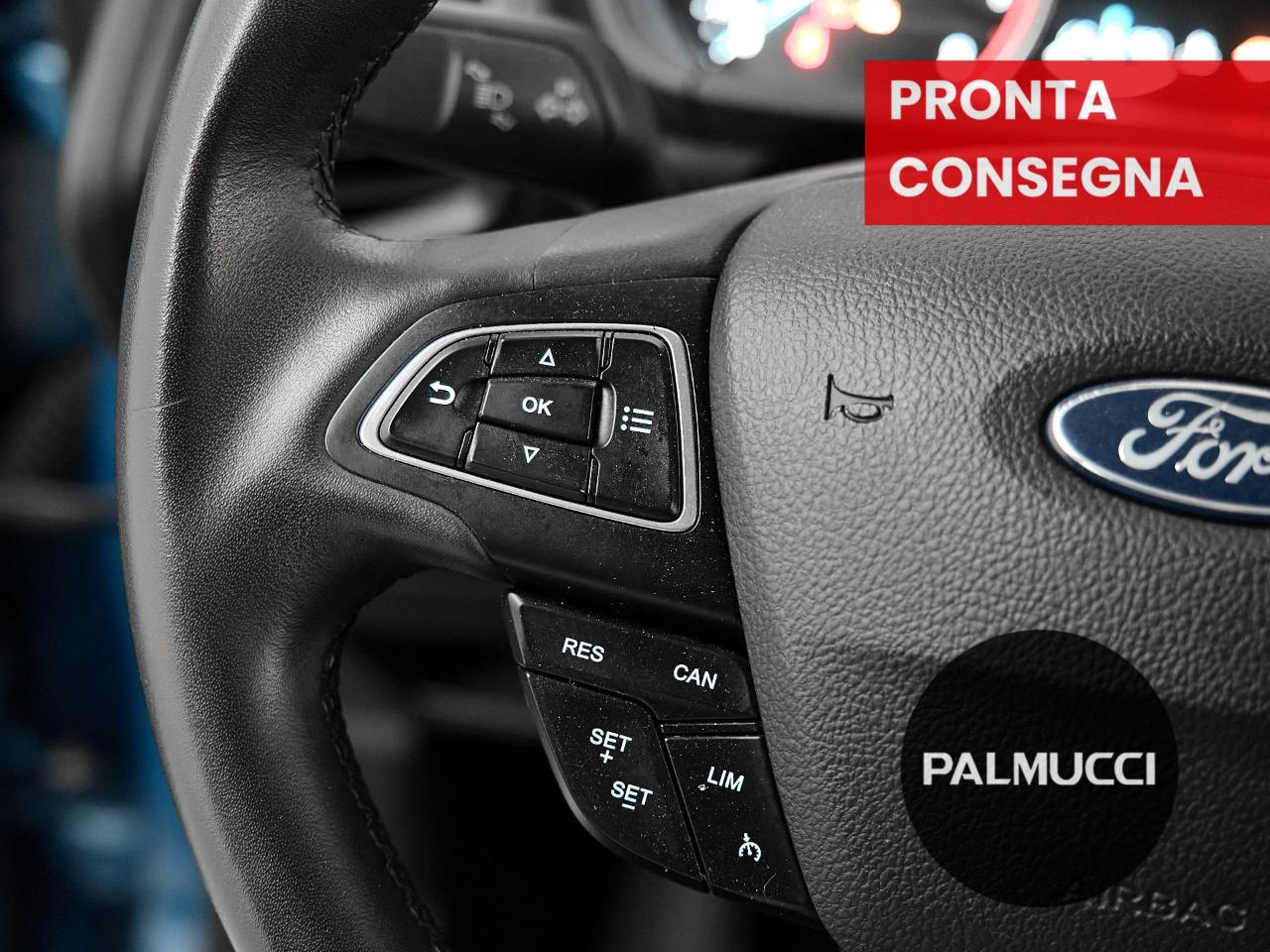 Ford Ford Ecosport usata 12