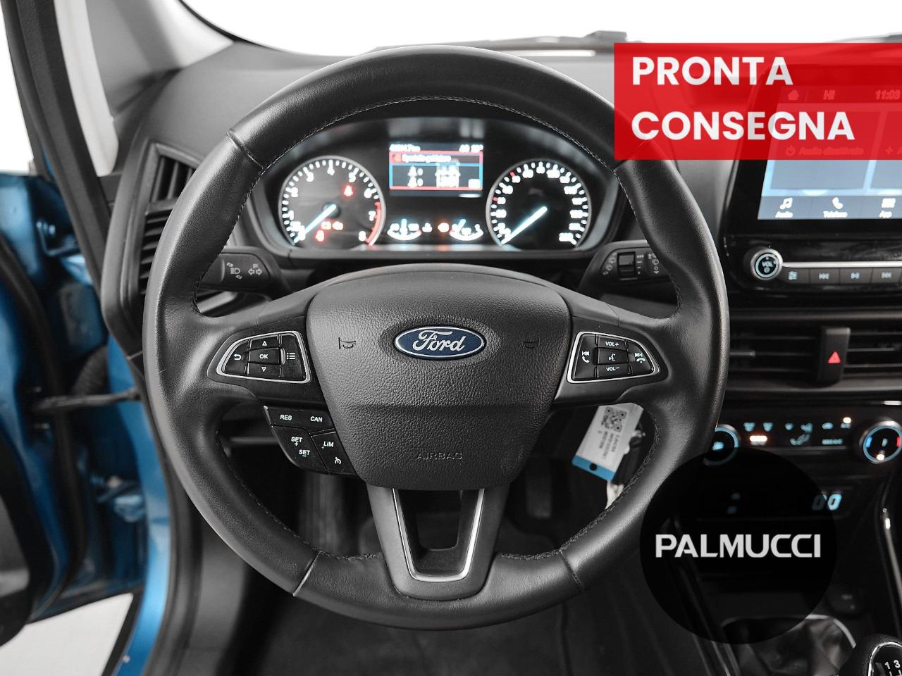 Ford Ford Ecosport usata 14