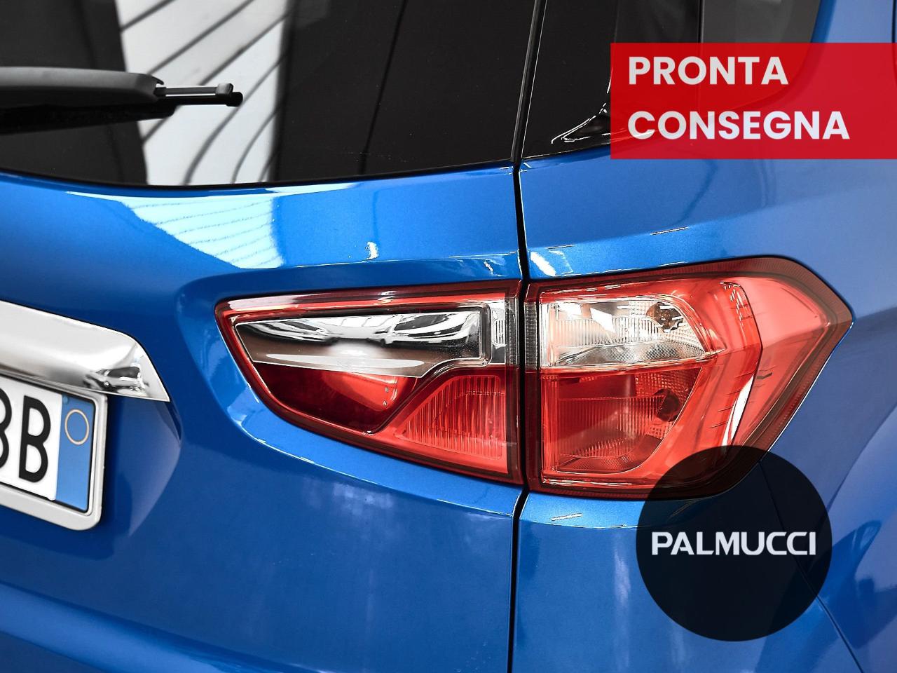 Ford Ford Ecosport usata 19