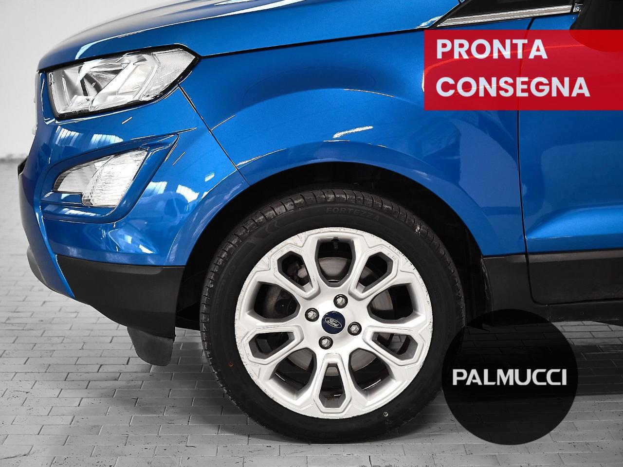 Ford Ford Ecosport usata 20