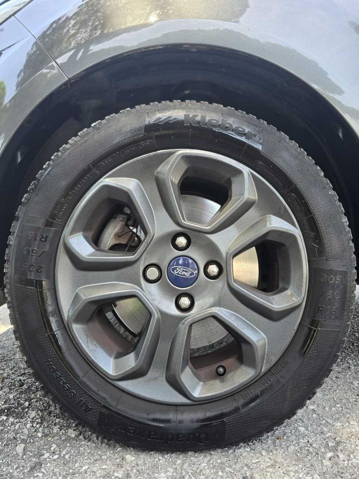 Ford Ford Ecosport usata 6