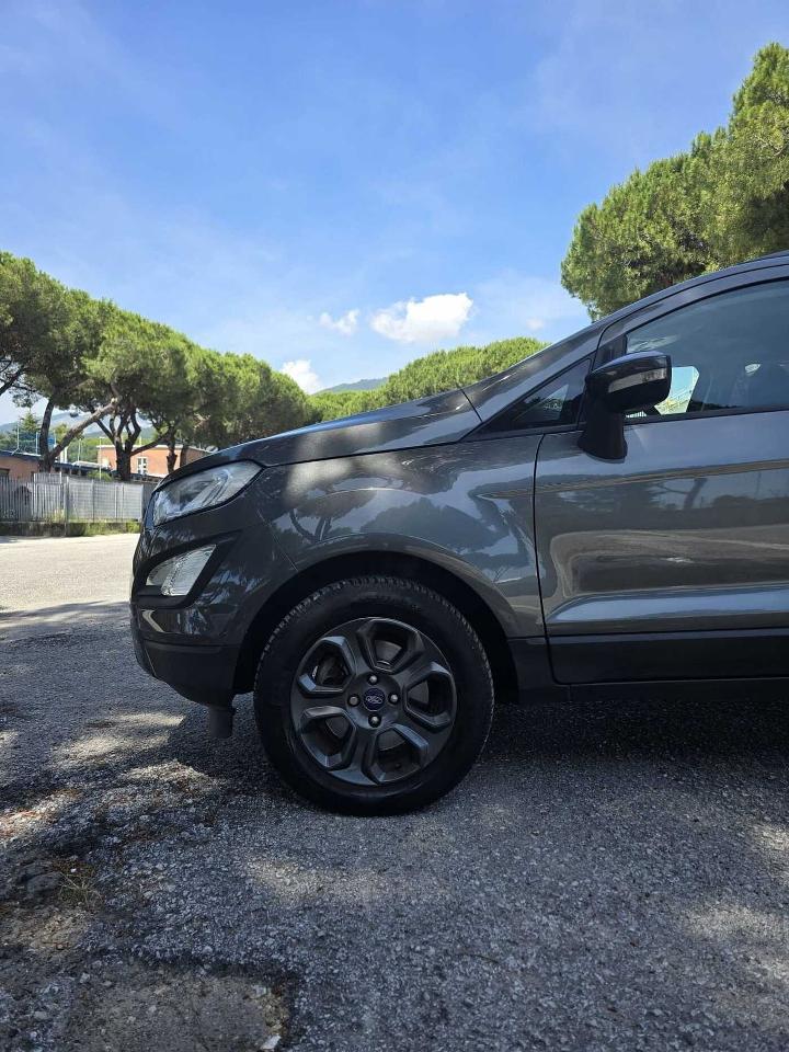 Ford Ford Ecosport usata 9
