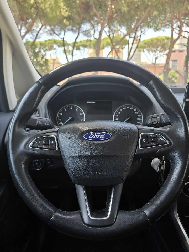 Ford Ford Ecosport usata 13