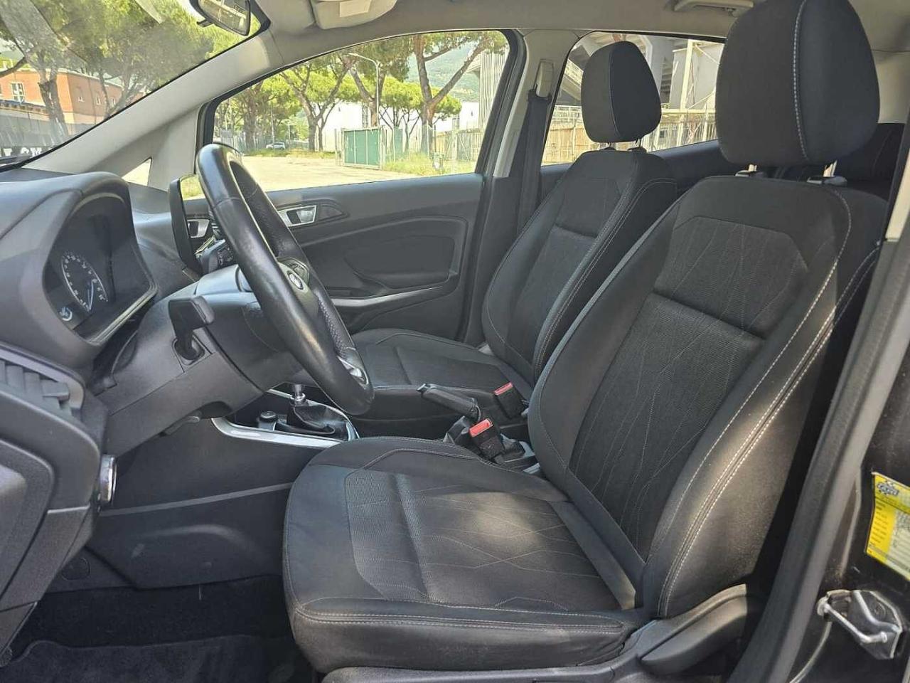 Ford Ford Ecosport usata 14